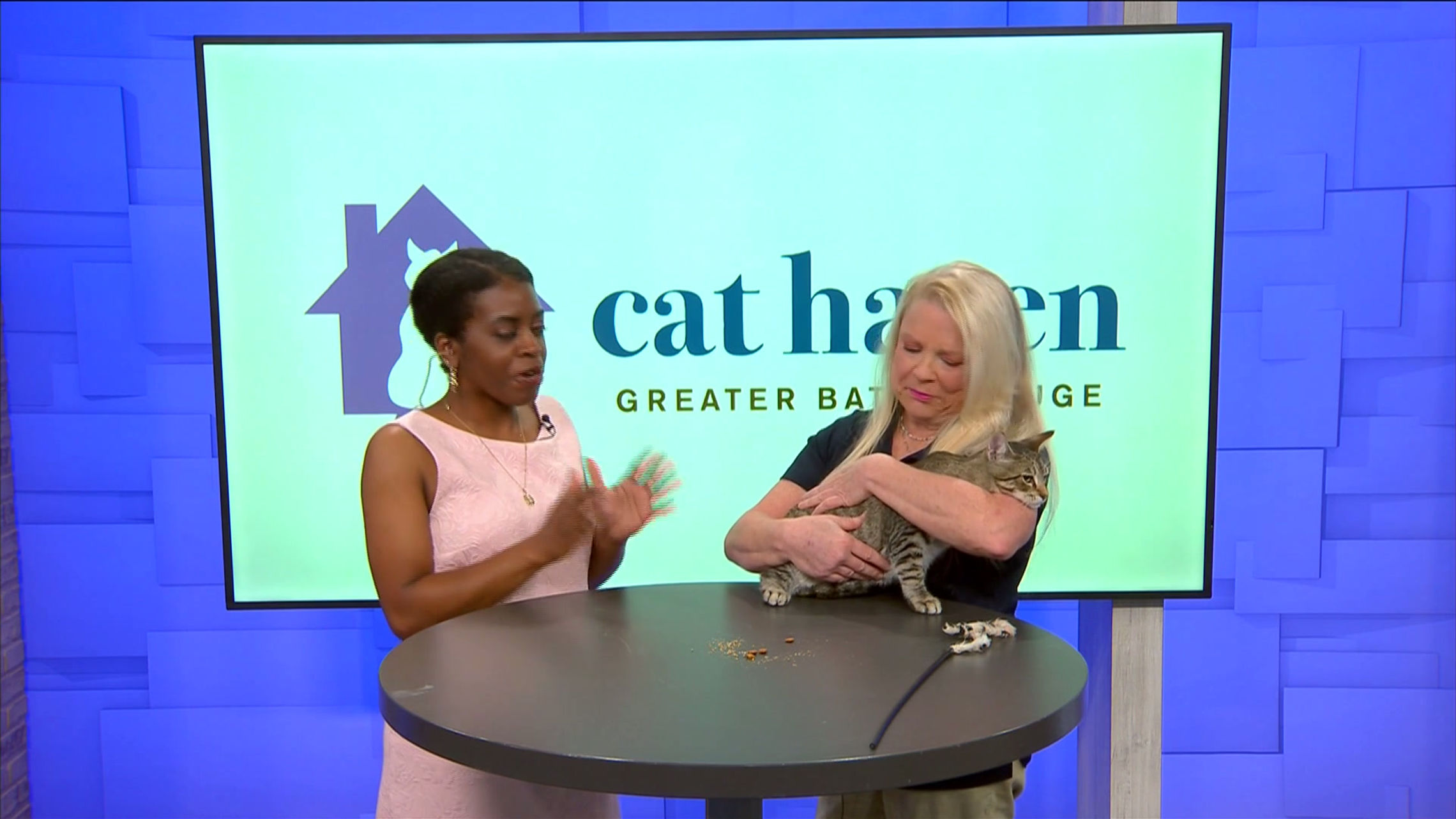 Whisker Wednesday 3-4-26